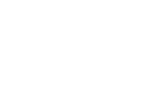 D20 Australia White Logo